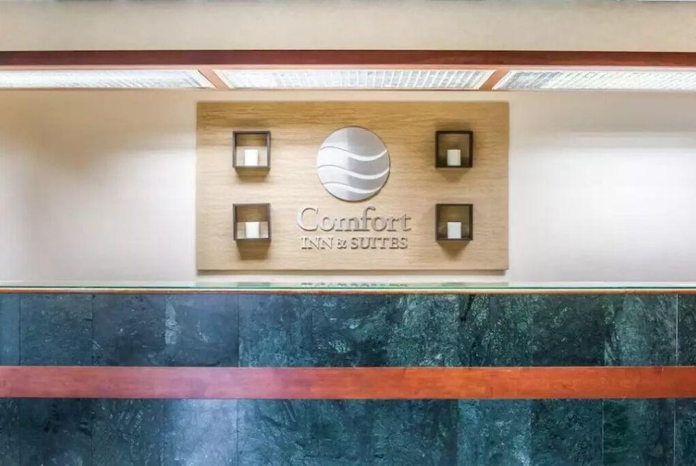 Comfort Inn & Suites Maumee - Toledo I80-90 Exterior foto